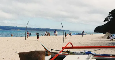 Modern Belt - Bordeaux